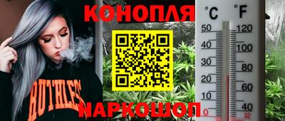 ECSTASY Кандалакша