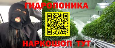 гашиш Камышлов