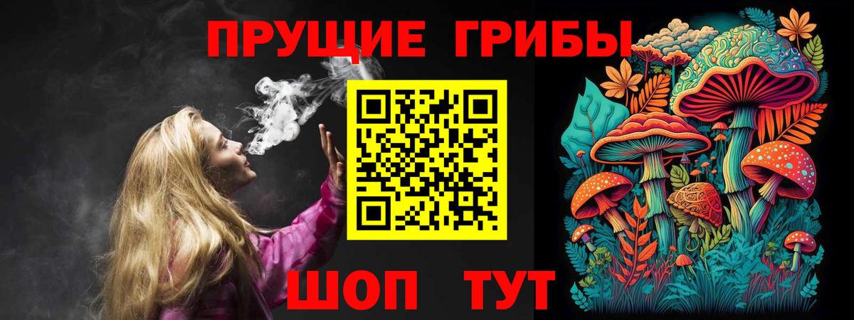 Псилоцибиновые грибы прущие грибы Азов