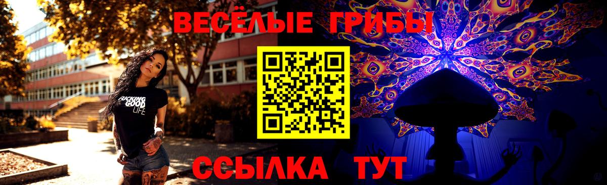 Галлюциногенные грибы Psilocybine cubensis  Вход с VPN  Азов 